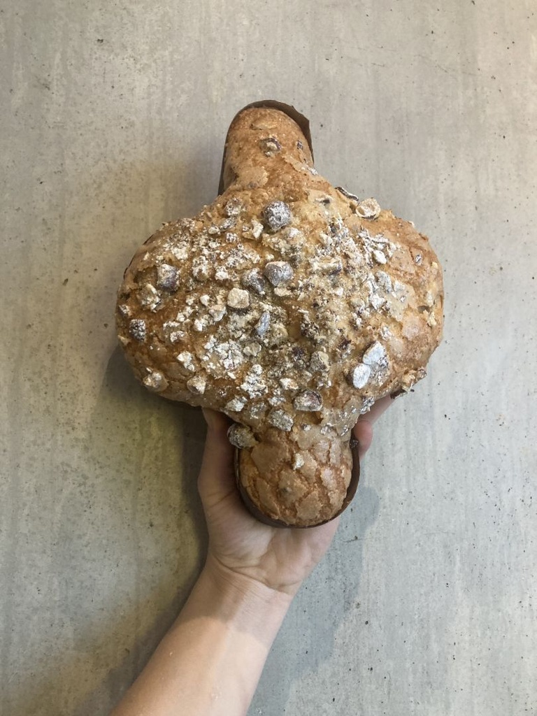 [240305_7208] Colombe