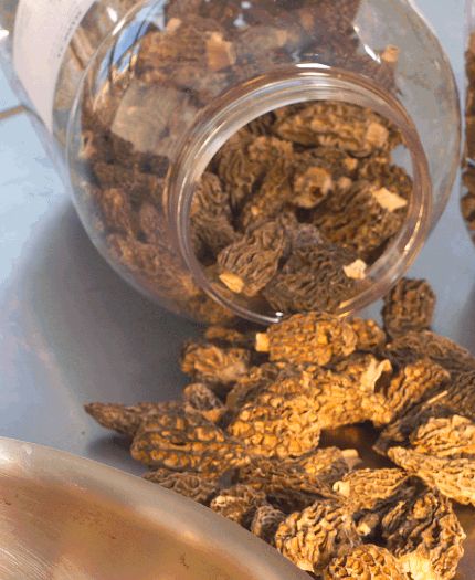 [241008_7879] MORILLE SPECIALE SECHEE  100G