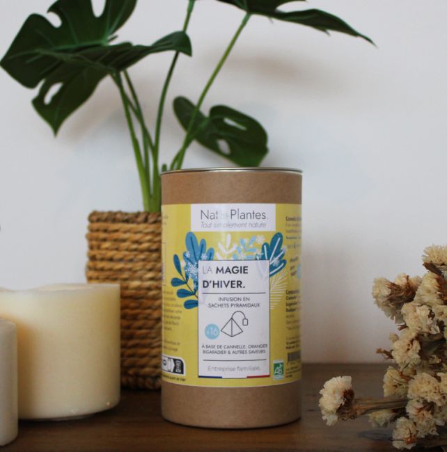 [241119_8233] Infusion sachets pyramidaux "La magie d'hiver"
