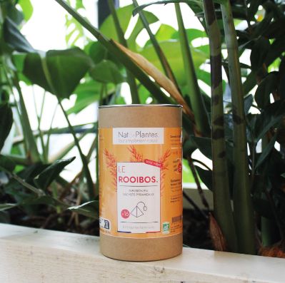 [240412_7391] Infusion sachets pyramidaux "Rooibos"