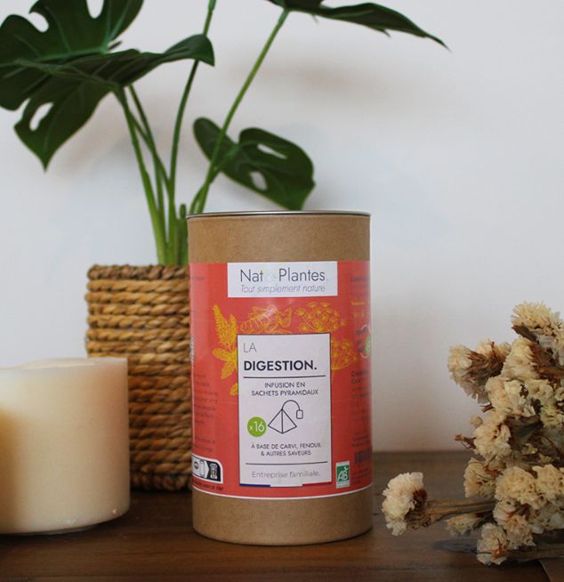 [241223_8350] OFFRE FLASH - Sachets pyramidaux (x16) - La digestion